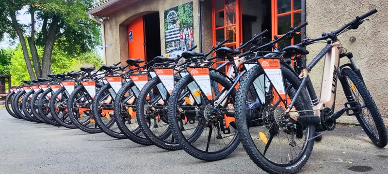 Notre flotte de vélos électriques devant la boutique